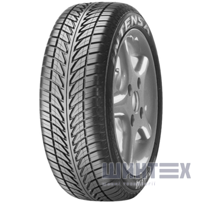 Sava Intensa 205/55 ZR16 91W