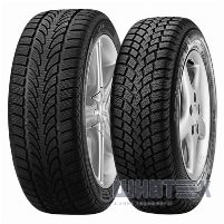 Nokian W+ 225/45 R17 91H