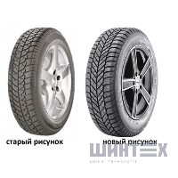 Diplomat Winter ST 175/65 R14 82T
