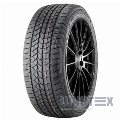 Doublestar WINTERKING DW02 185/65 R14 90T XL№1
