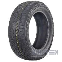 Doublestar WINTERKING DW08 205/50 R17 93H XL