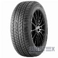 Doublestar WINTERKING DW09 235/55 R17 99T№1