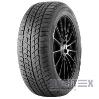 Doublestar WINTERKING DW09 215/55 R18 95H
